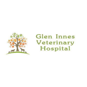Glen Innes Veterinary Hospital