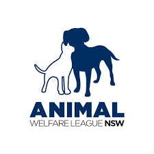 animal welfare league