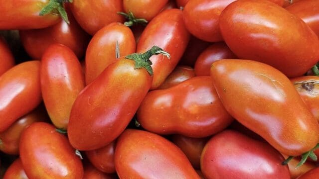 glen initiative garden