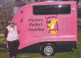 Picture Perfect Pooches