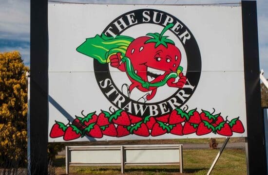 The Super Strawberry