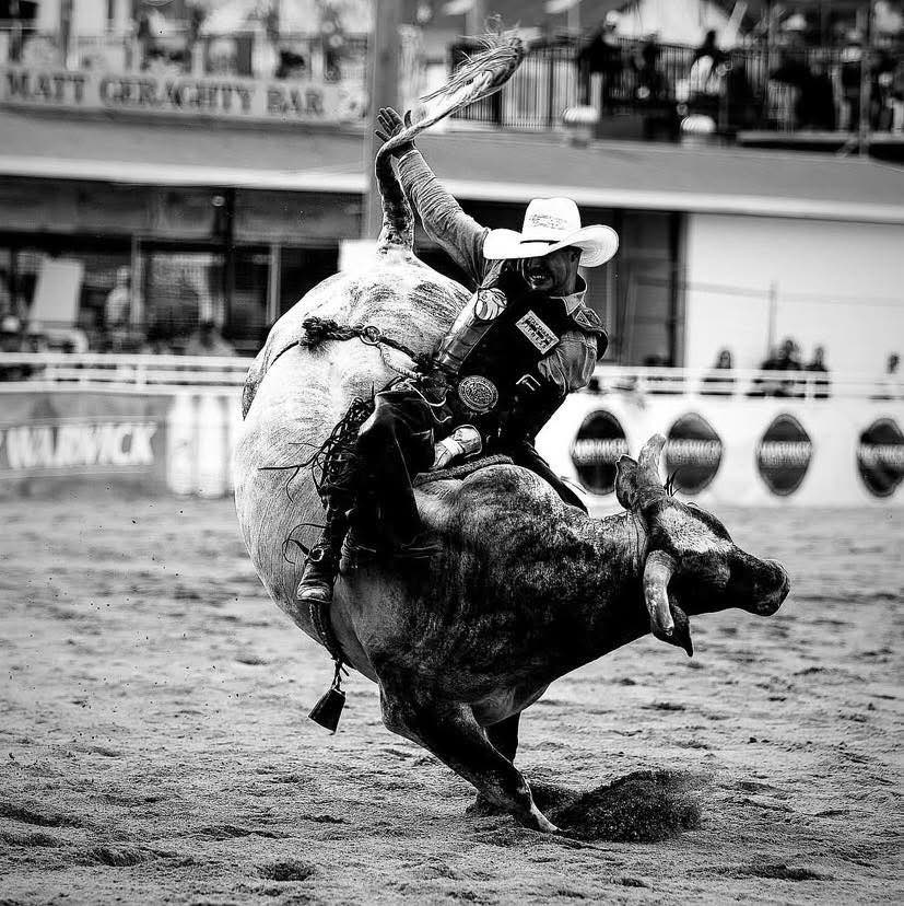 BULL