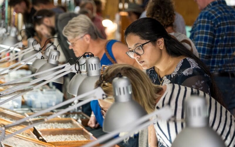 Minerama Fossicking, Gem & Jewellery Show Returns to Glen Innes