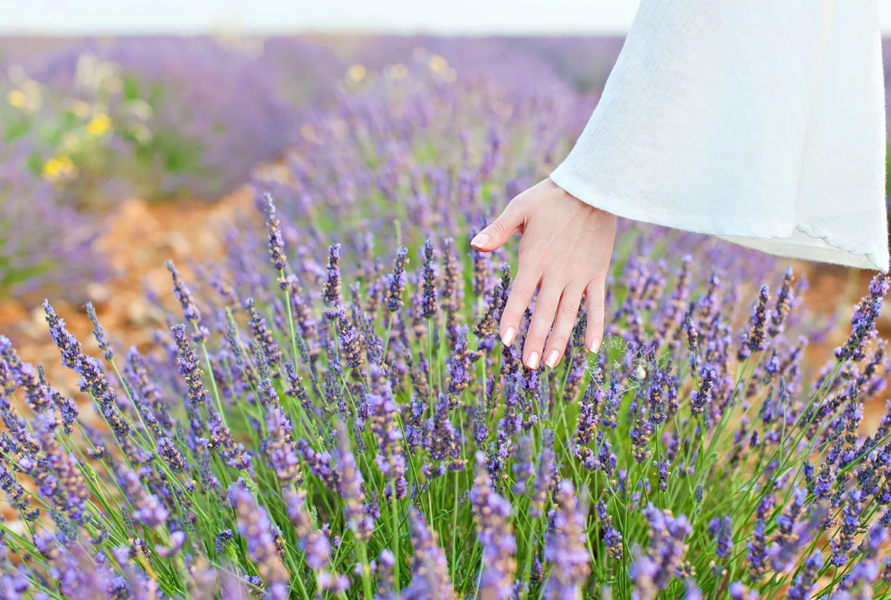 sensory garden