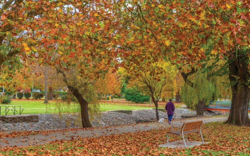 ANZAC Park, Glen Innes