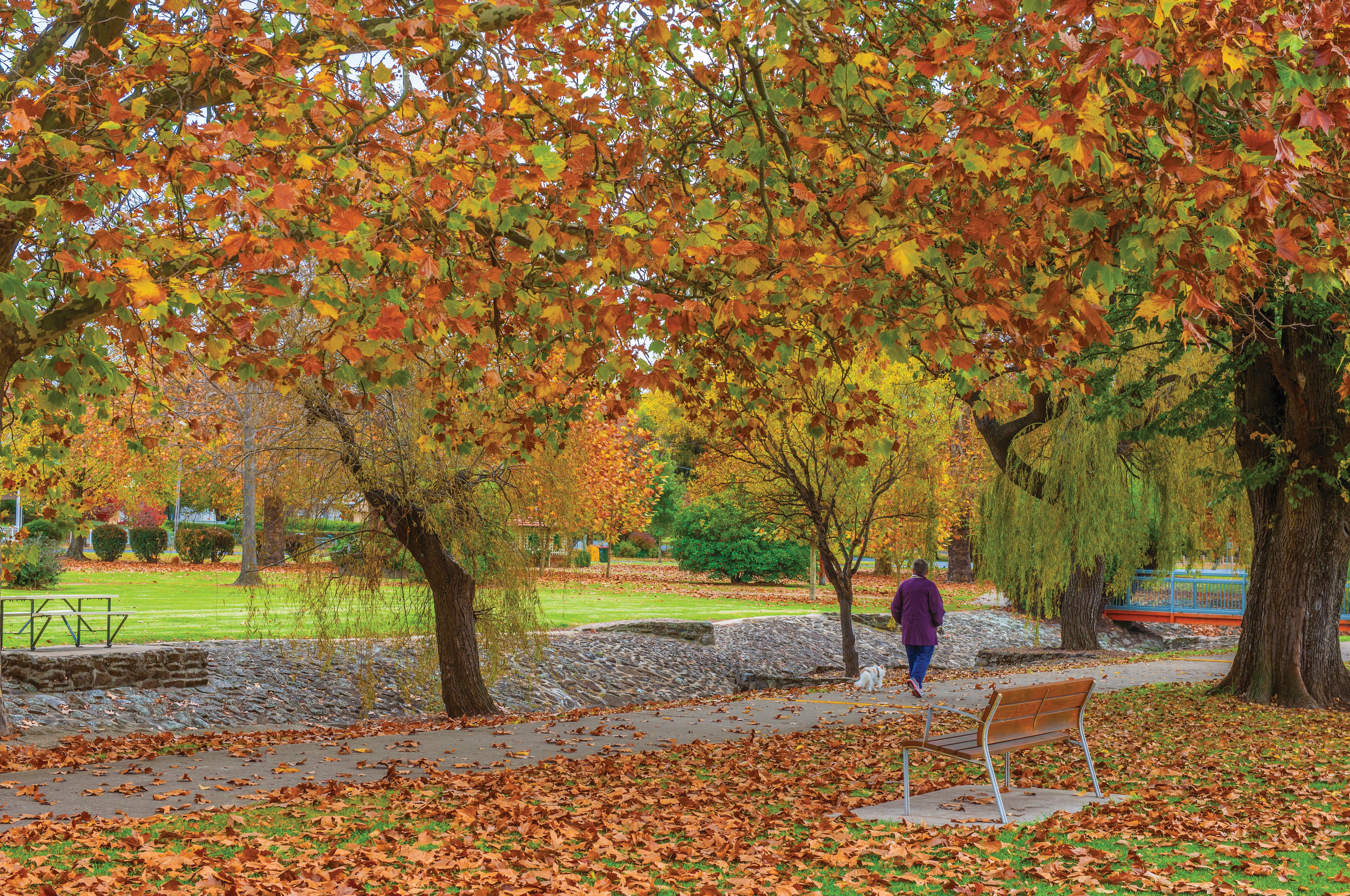 ANZAC Park, Glen Innes
