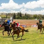glen innes races