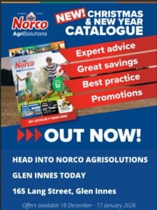 norco ad