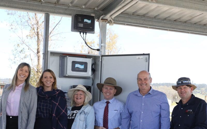 Glen Innes Sheep Saleyards Meet Modern Standards with eID Upgrade
