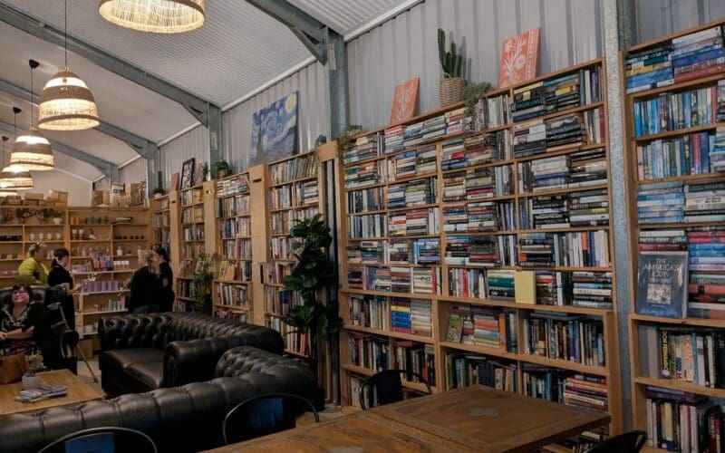 Navina’s Novel Idea: Chapter One of Desert Moon Begins