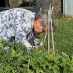 OASIS Coordinator Cheryl at work in the garden