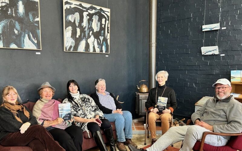 Local Publishing Company Takes High Dive