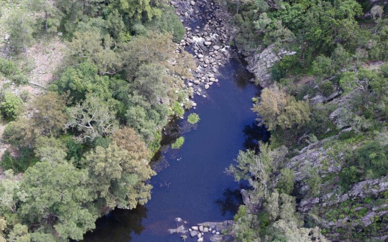 Glen Innes Severn Council Assumes Local Weed Management Duties