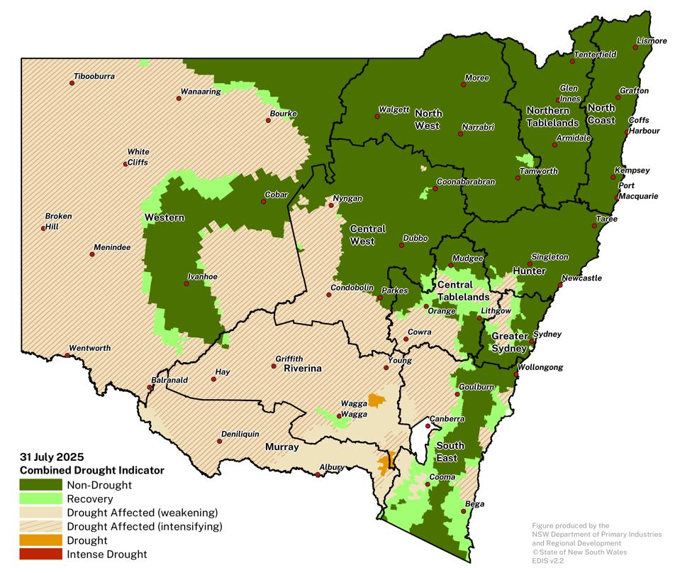 combined drought indicator 31 july 2025