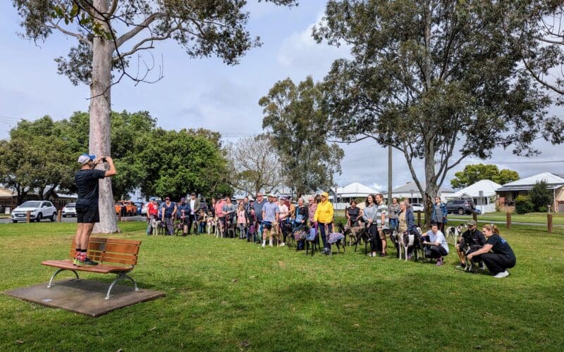 Great Global Greyhound Walk 2025