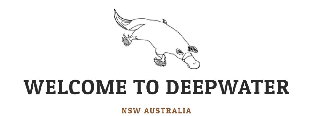 deepwater logo