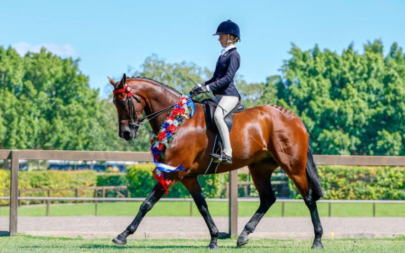 Glen Innes News is back on the street