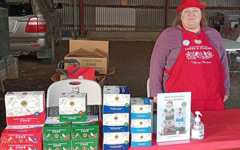 554975840 122176731866484145 192837934195282142 n