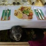 9fb1ed0c f408 4f34 a580 40330c9cf3c5