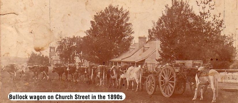 03904 Bullock wagon 1890s