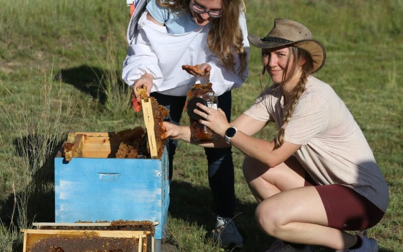 Pindari Centre Launches Hands-On Homesteading Experiences
