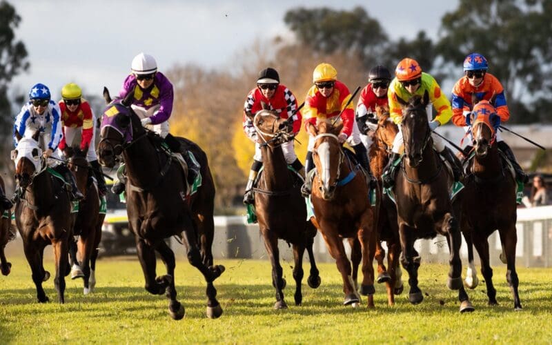 And they’re racing