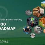 biochar roadmap