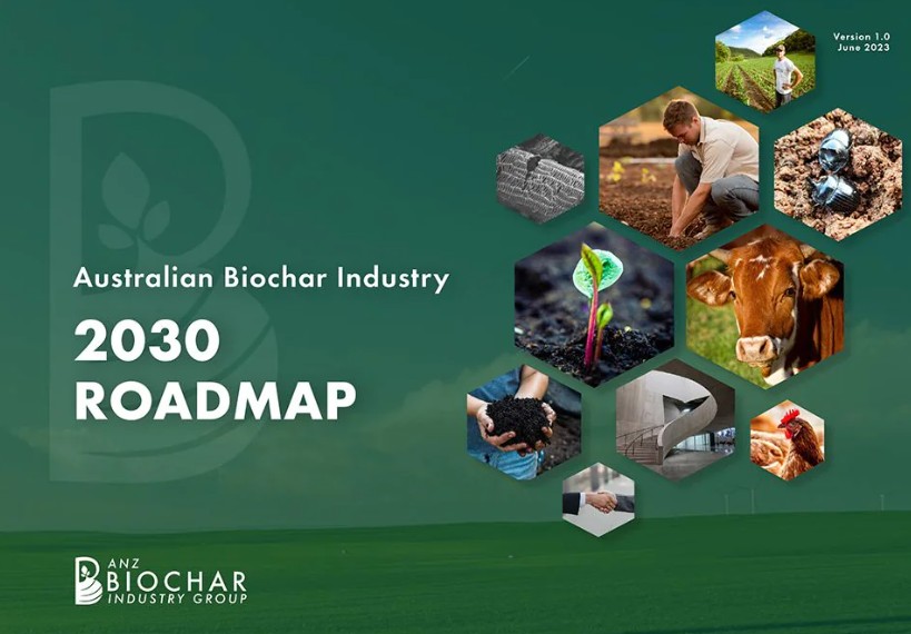 biochar roadmap