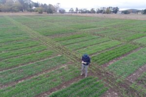 60337946 642886792843361 4560495355493351424 n