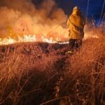 RFS Volunteers: seen locally, nationally and internationally