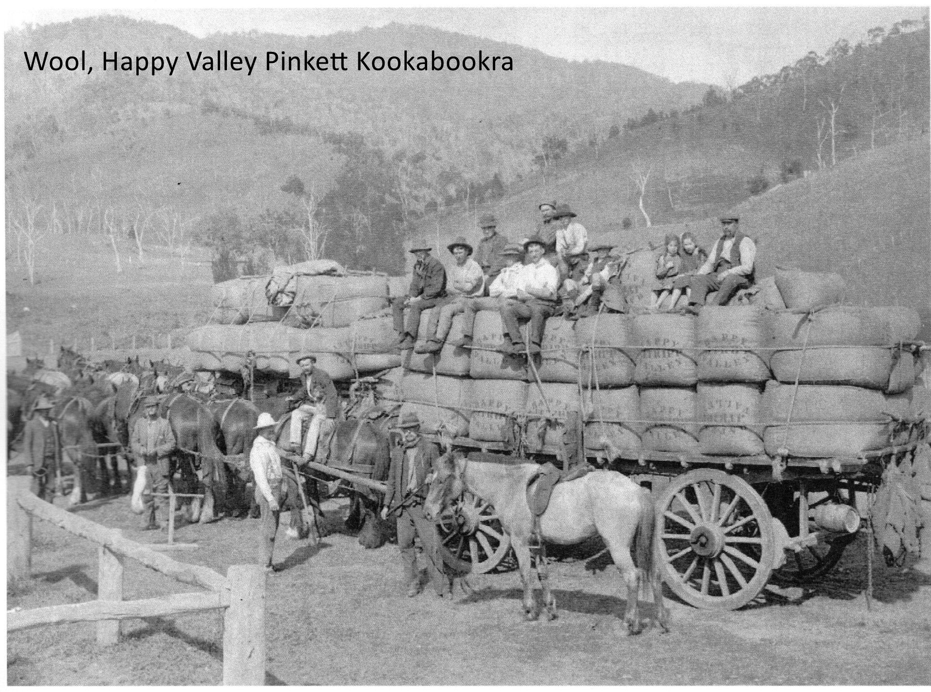 Wool Happy Valley Pinkett Kookabookra