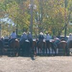 Epic Campdraft and Horse Sale