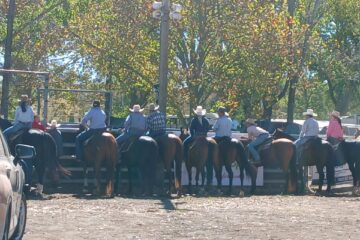 Epic Campdraft and Horse Sale