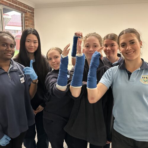 Health Careers Excursion to Tamworth