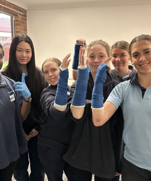 Professional Services & IT