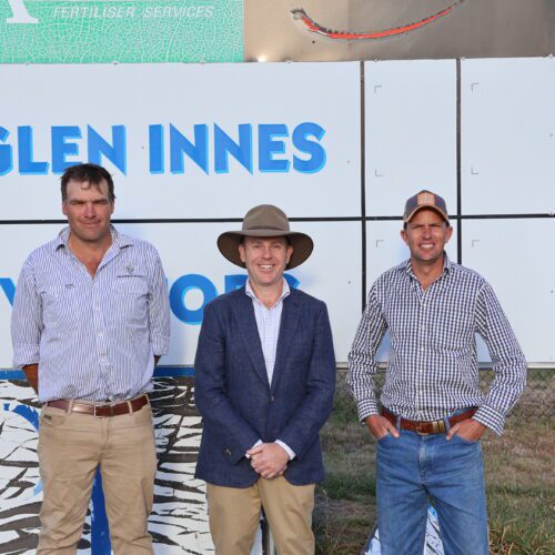 ELKS SECURE FUNDING FOR SEATING UPGRADE