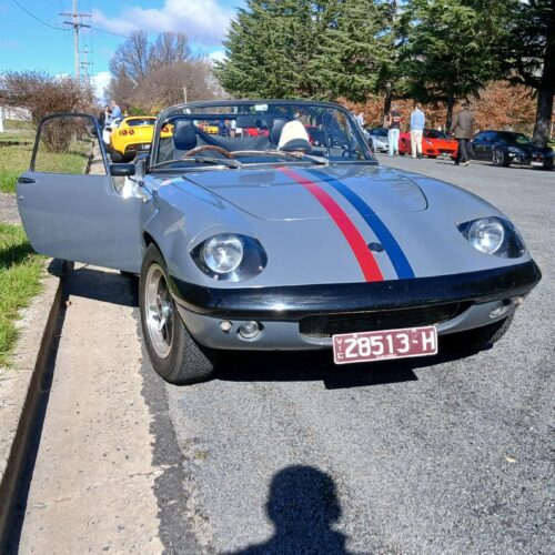 Lotus Roar at Lions Park