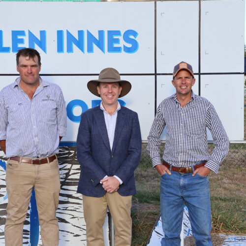 FUNDING FLOWS IN FOR FIELD IMPROVEMENTS