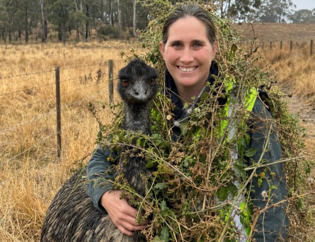 Meet the Biosecurity Officer