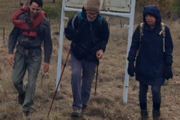 Walkers Pass Through Glen Innes Severn on Journey to Myall Creek