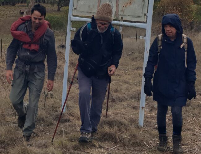 Walkers Pass Through Glen Innes Severn on Journey to Myall Creek