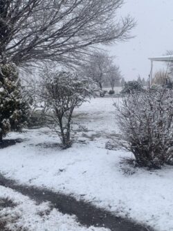 Stonehenge. Photo: Kym Harper Kym Harper Stonehenge