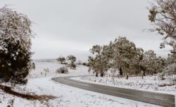 Photo: J.N.X Photography jnx 2