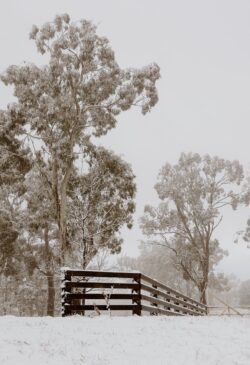 Photo: J.N.X Photography jnx 4