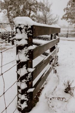 Photo: J.N.X Photography jnx3