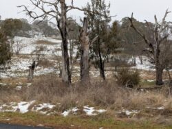 Photo: Megan Redfern megan