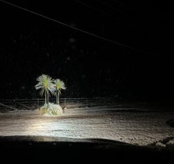 Red Range. Photo: Ricks Taxis red range ricks taxi